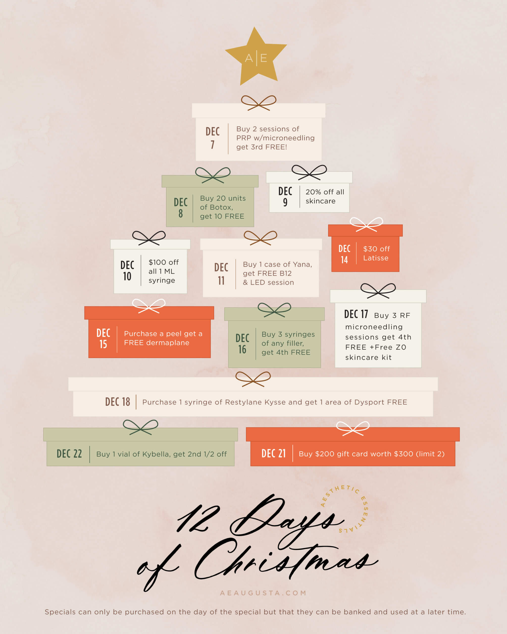 Celebrate the 12 Days of Christmas is AE!